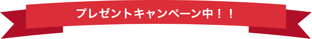 プレゼントキャンペーン中